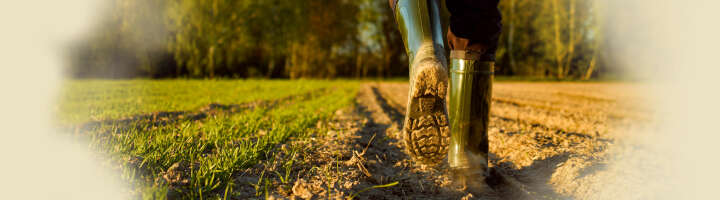 kategorieeinstieg landwirtschaft 2876x800